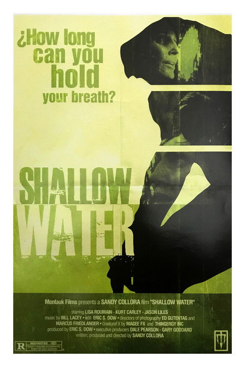Shallow Water Poster