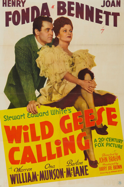 Wild Geese Calling Poster