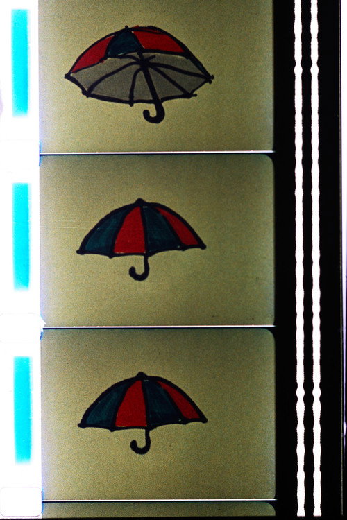 Horse Over Tea Kettle Poster