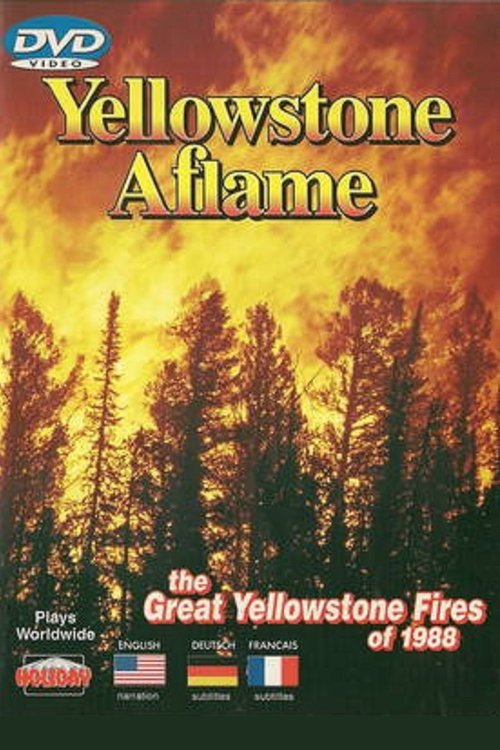 Yellowstone Aflame Poster