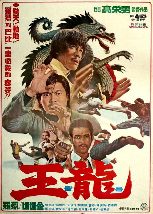 Deadly Kick Poster