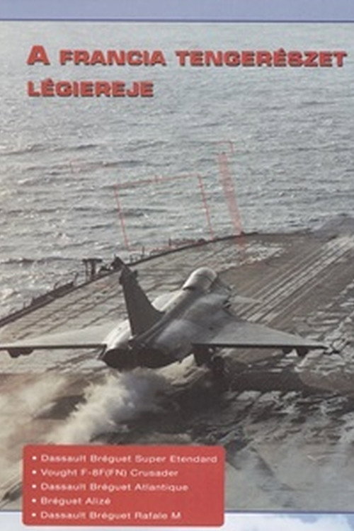 Combat in the Air - French Naval Air Power Poster