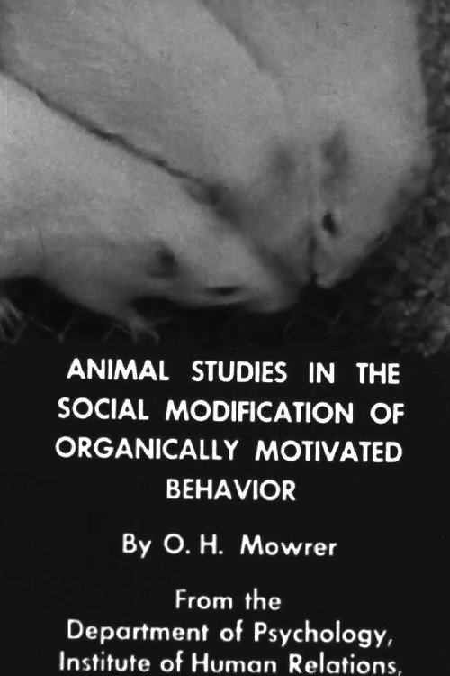 Animal Studies in the Social Modification of Organically Motivated Behavior Poster