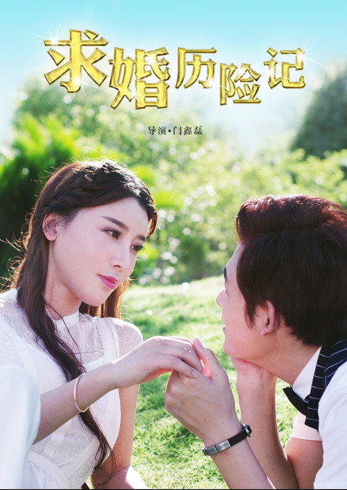 求婚历险记 Poster