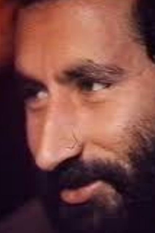 The Golden Dream Poster