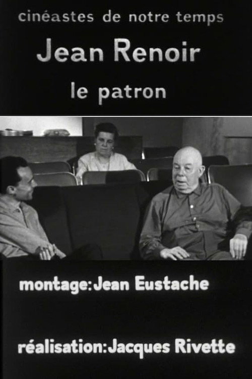 Jean Renoir, le patron, 3e partie: La règle et l'exception Poster