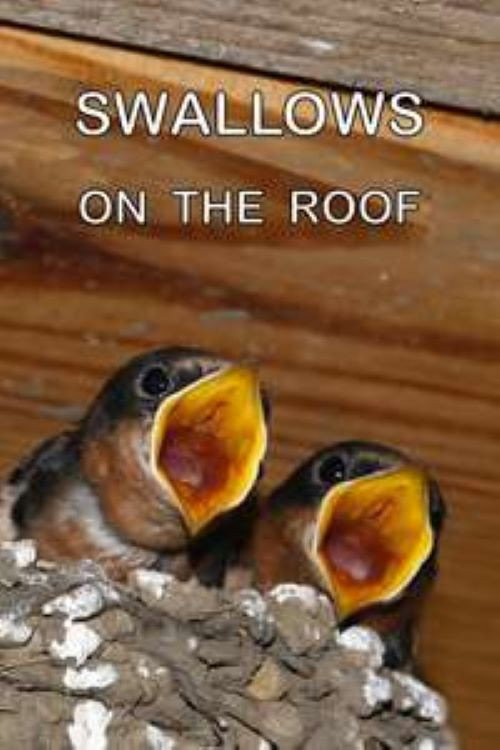 Swallows on the Roof Poster