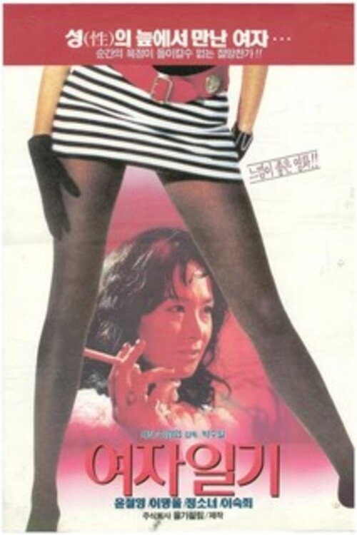 Woman's Diary Poster