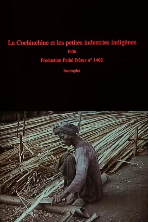 La Cochinchine et les petites industries indigènes Poster