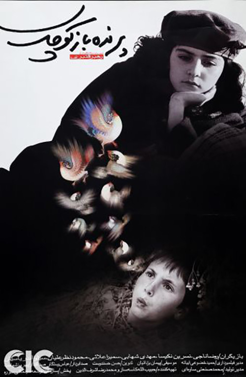 The Little Bird Boy Poster
