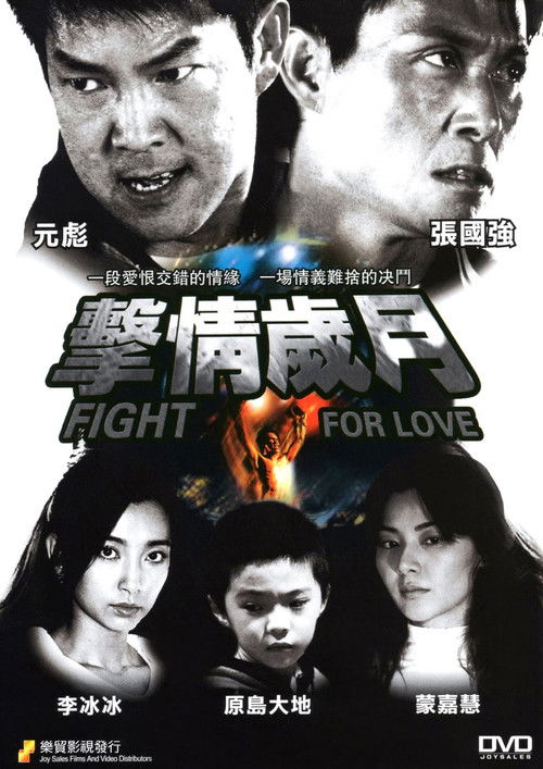 Fight for Love Poster