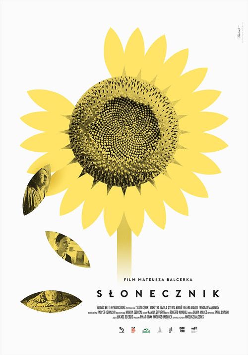 Sunflower Poster