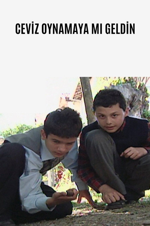Ceviz Oynamaya Mı Geldin Poster