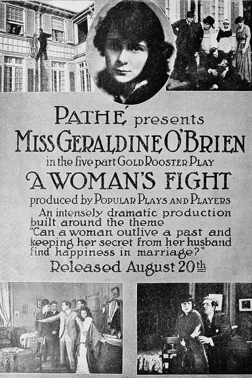 A Woman's Fight Poster