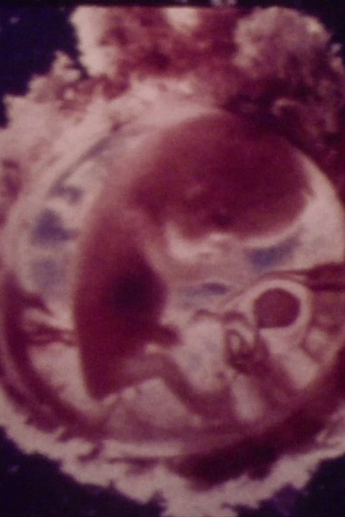 Le ventre, un supermonde Poster