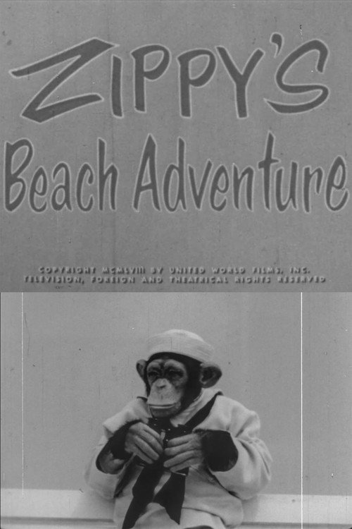 Zippy's Beach Adventure Poster