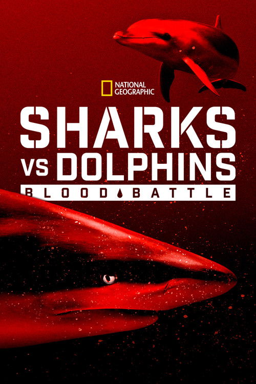 Sharks vs. Dolphins: Blood Battle Poster