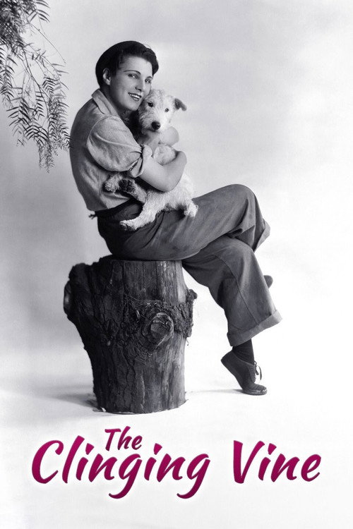 The Clinging Vine Poster