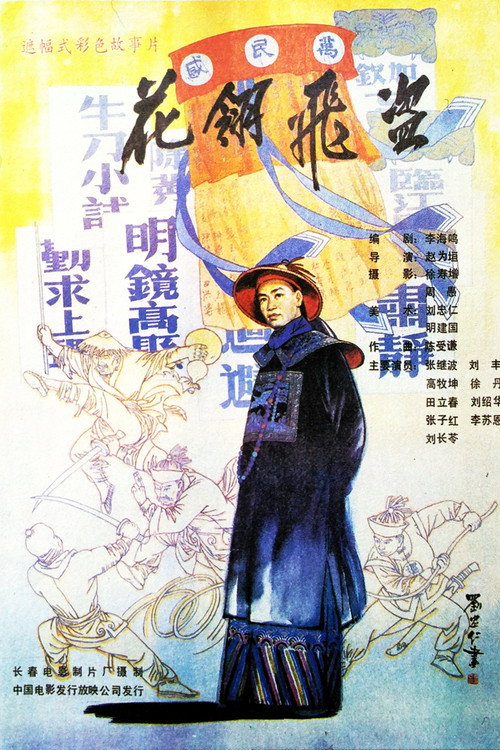 花翎飞盗 Poster