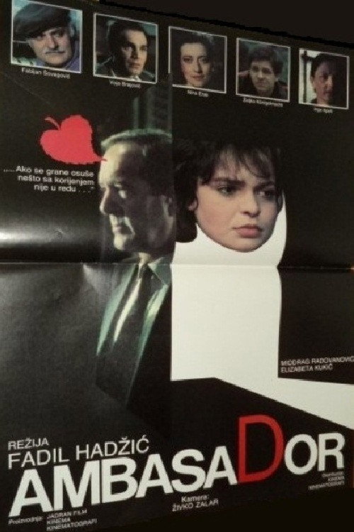 The Ambassador Poster