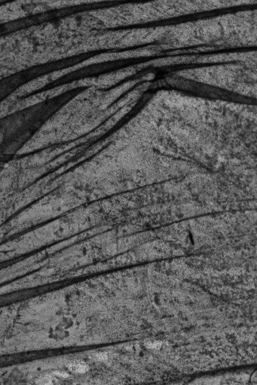 Flow Attachment Poster