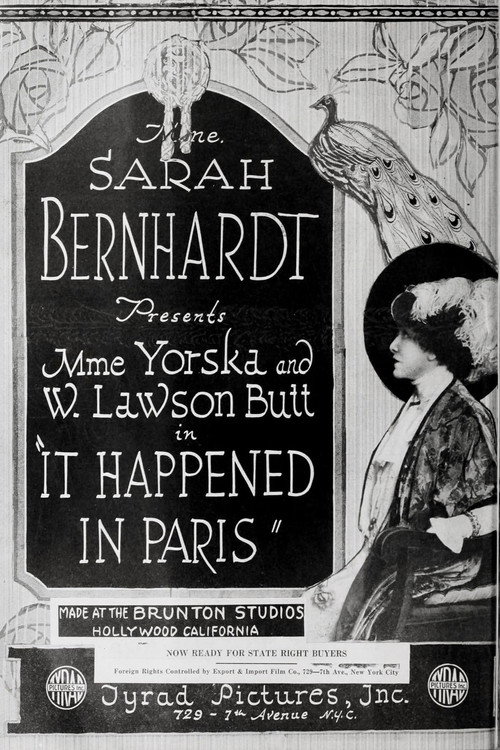 It Happened in Paris Poster
