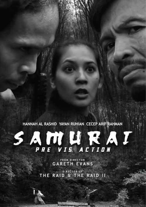 Pre Vis Action Poster