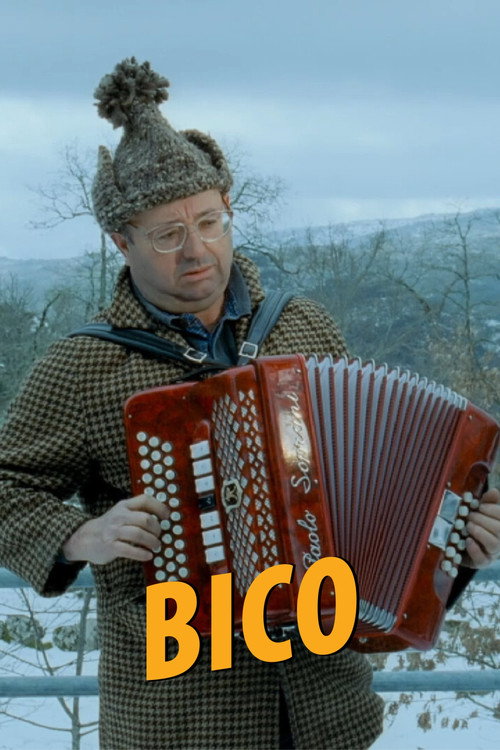 Bico Poster