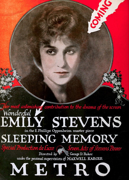 A Sleeping Memory Poster