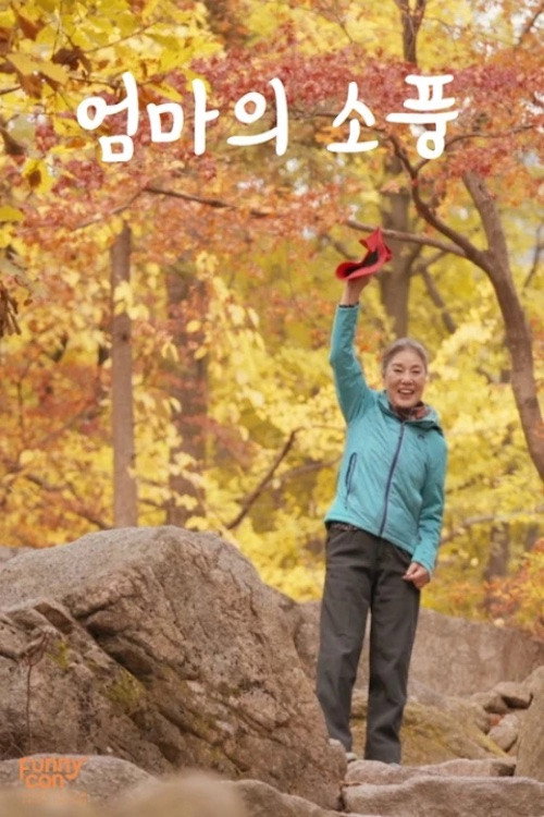 Mom’s Picnic Poster