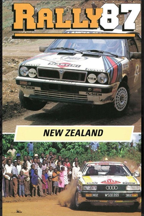New Zealand Rally 1987 Poster