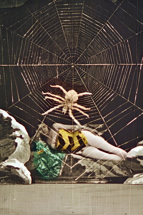 Wonderful Beehive Poster