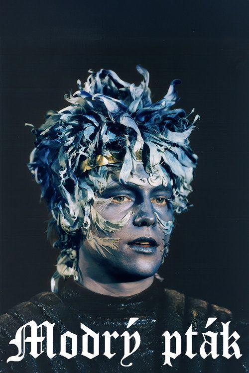 Modrý pták Poster