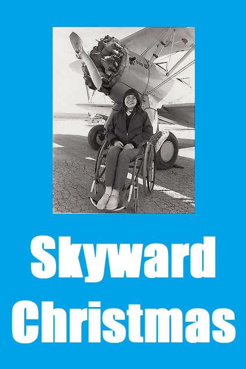 Skyward Christmas Poster