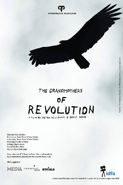 The Grandmothers of the Revolution Poster