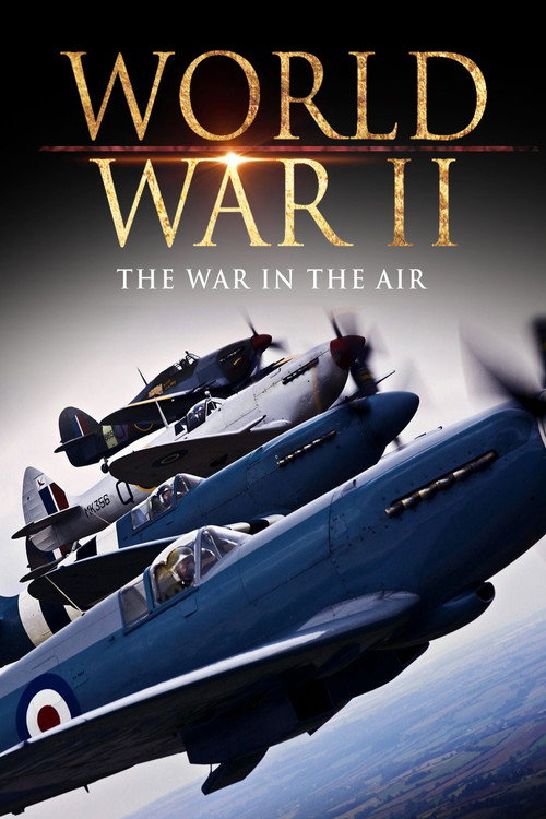 World War II: The War in the Air Poster