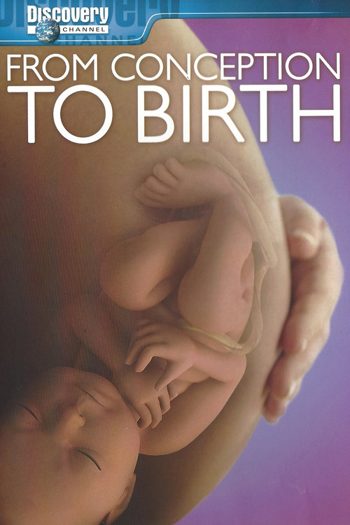 From Conception to Birth Poster