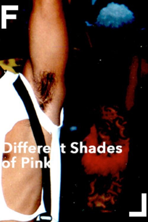Different Shades of Pink Poster