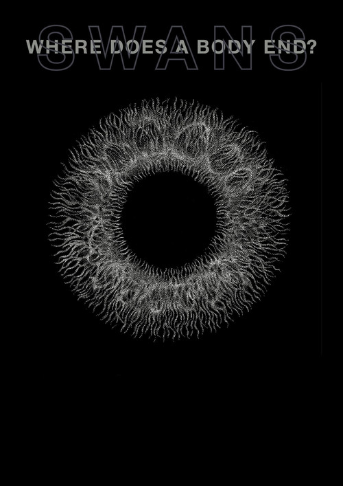 Swans: Where Does a Body End? Poster