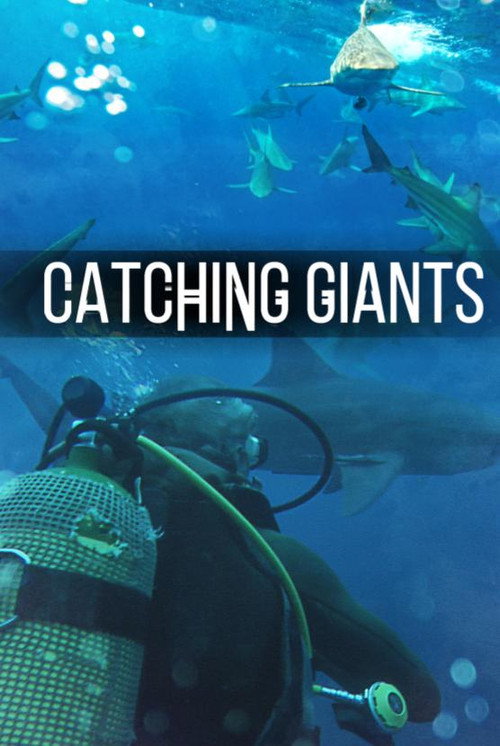 Catching Giants: Zambezi Shark Poster