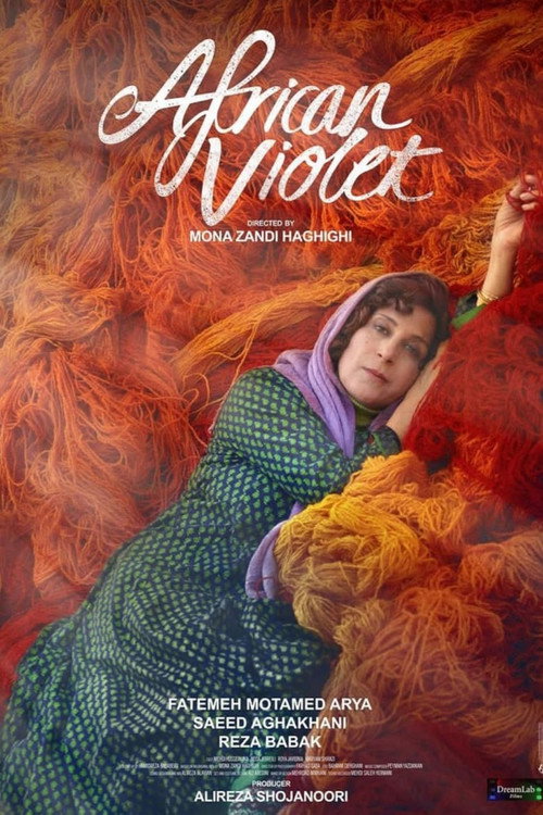 African Violet Poster