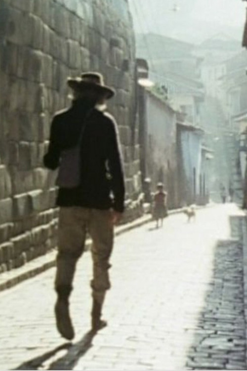 Le petit touriste Poster