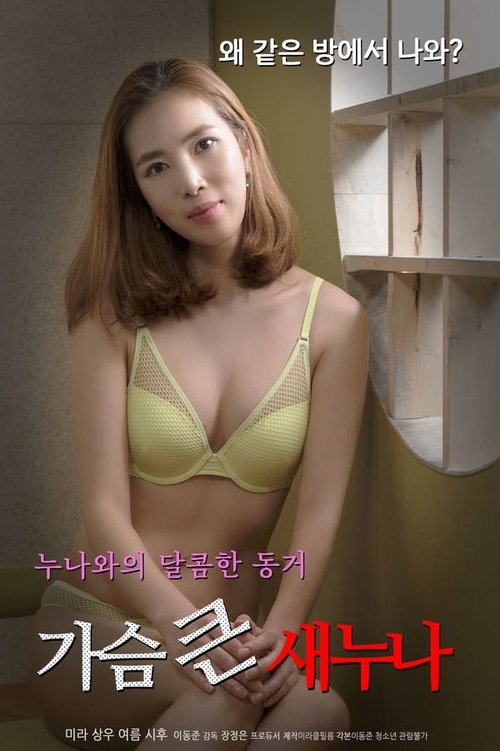 Big Breasts Sister Poster