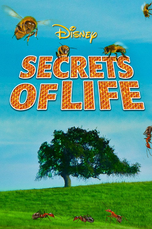 Secrets of Life Poster