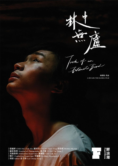 Trek of an Extinct Bird Poster