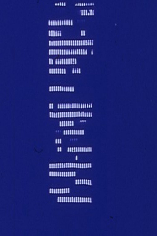 For Georgia O'Keeffe Poster