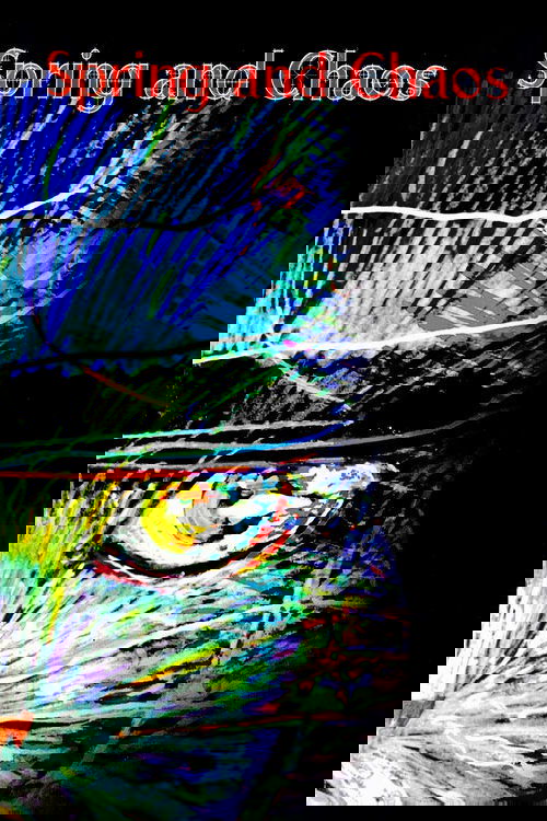 Spring and Chaos Poster