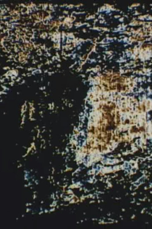 Two Pictures Poster