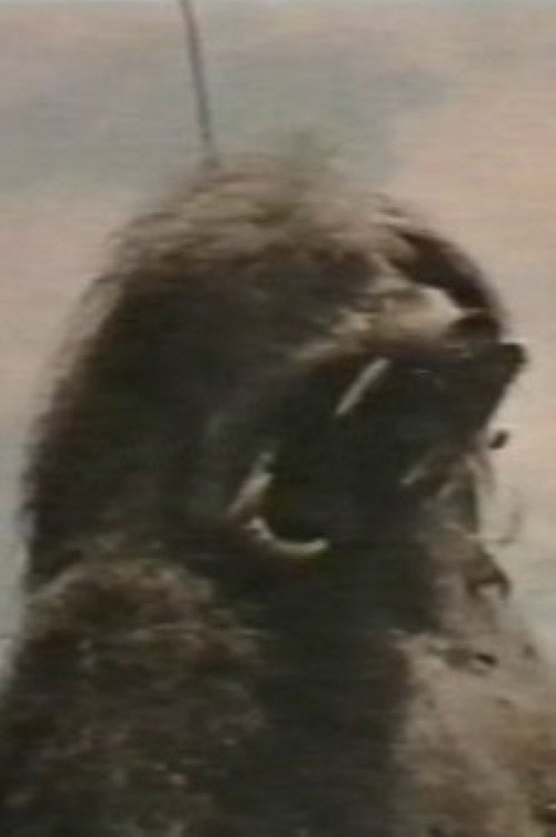 Africa addio (Plagium 11) Poster