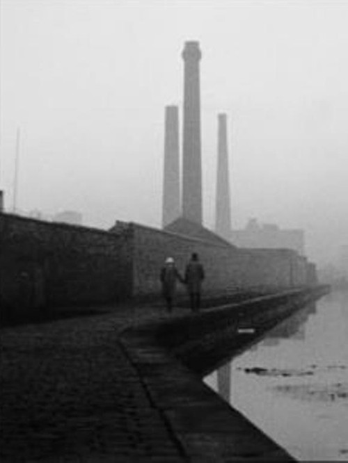 Tomorrow's Saturday Poster